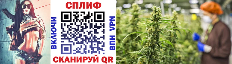 Конопля Bruce Banner  MEGA ссылки  Остров 